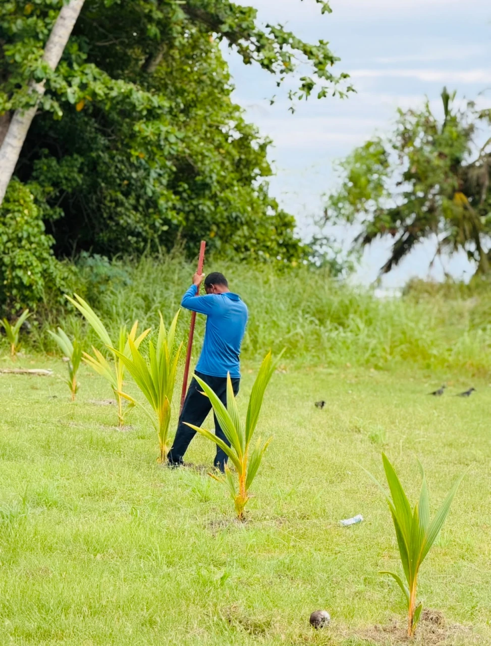 ޑްރައިވިންގ ޓްރަކް ސަރަހައްދާއި އަދި މަންތާ ޕާކްގައި ކުރިއަށް ގެންދެވުނު ގަސް އިންދުމުގެ ޕްރޮގްރާމުގެ ތެރެއިން
